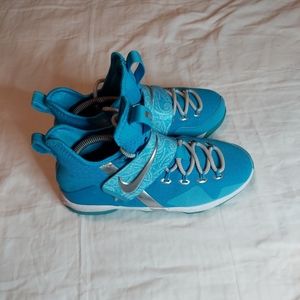 Nike Lebron 14 Ric Flair (GS)